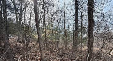 LOT 62 ROACHES RUN RD, FRONT ROYAL, Virginia 22630, ,Land,For sale,LOT 62 ROACHES RUN RD,VAWR2010460 MLS # VAWR2010460