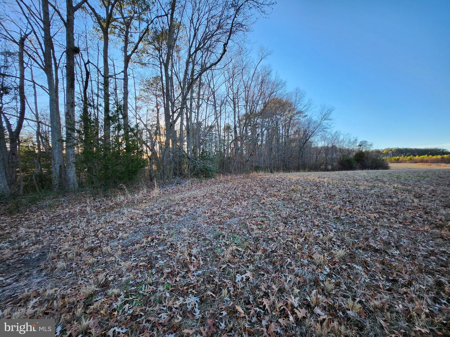 LOT 1 MARILOU LN, COLONIAL BEACH, Virginia 22443, ,Land,For sale,LOT 1 MARILOU LN,VAWE2008284 MLS # VAWE2008284