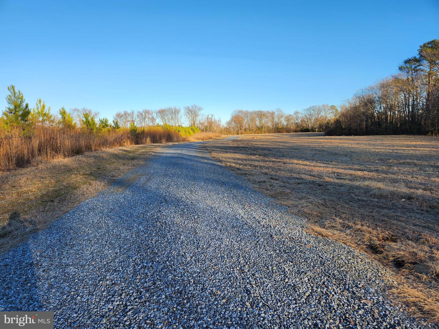 LOT 1 MARILOU LN, COLONIAL BEACH, Virginia 22443, ,Land,For sale,LOT 1 MARILOU LN,VAWE2008284 MLS # VAWE2008284