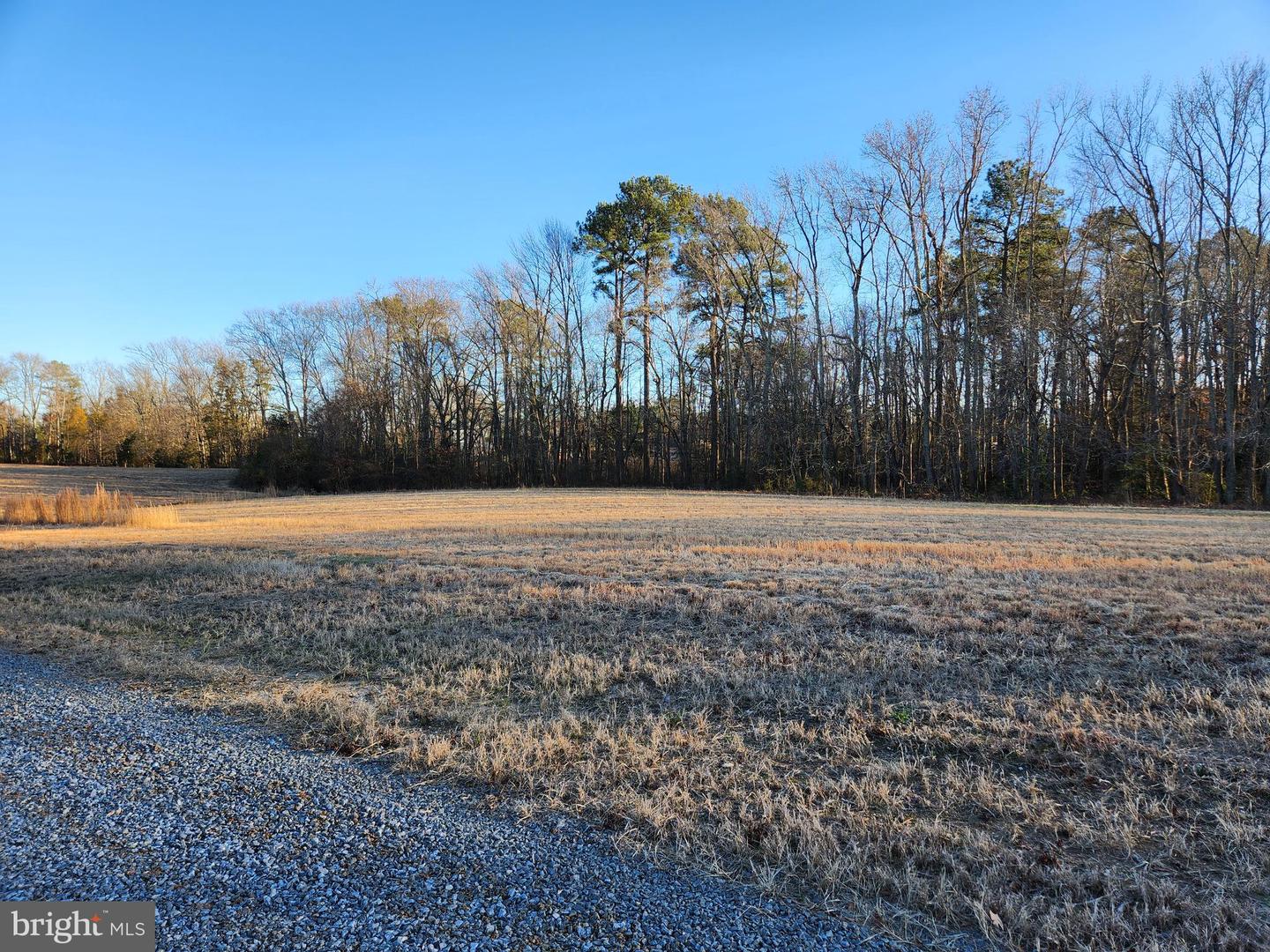 LOT 1 MARILOU LN, COLONIAL BEACH, Virginia 22443, ,Land,For sale,LOT 1 MARILOU LN,VAWE2008284 MLS # VAWE2008284