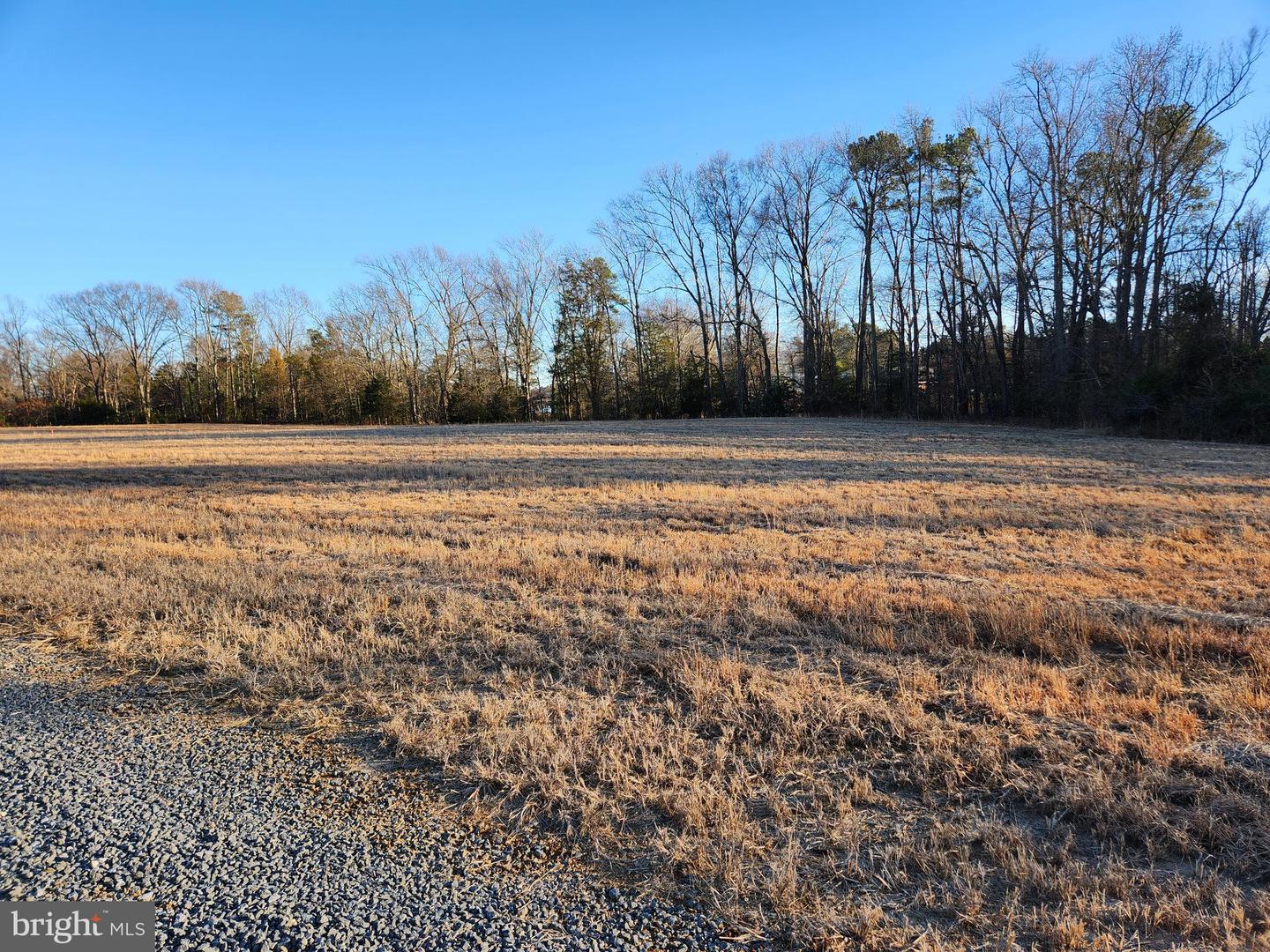 LOT 1 MARILOU LN, COLONIAL BEACH, Virginia 22443, ,Land,For sale,LOT 1 MARILOU LN,VAWE2008284 MLS # VAWE2008284