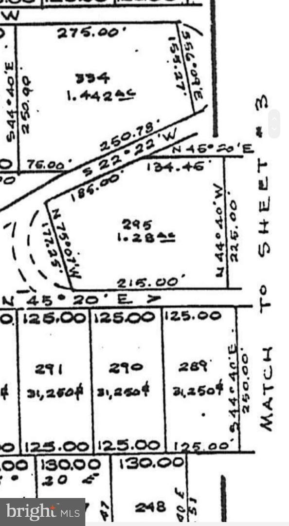 LOT 295 HICKORY FLAT LN, FORT VALLEY, Virginia 22652, ,Land,For sale,LOT 295 HICKORY FLAT LN,VASH2010734 MLS # VASH2010734