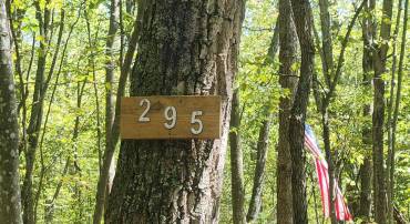 LOT 295 HICKORY FLAT LN, FORT VALLEY, Virginia 22652, ,Land,For sale,LOT 295 HICKORY FLAT LN,VASH2010734 MLS # VASH2010734