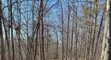 Lot 10 INDEPENDENCE LN, NEW MARKET, Virginia 22844, ,Land,Lot 10 INDEPENDENCE LN,661186 MLS # 661186