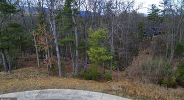 LOT 9 CREEK VALLEY DR, BASYE, Virginia 22810, ,Land,For sale,LOT 9 CREEK VALLEY DR,VASH2008002 MLS # VASH2008002