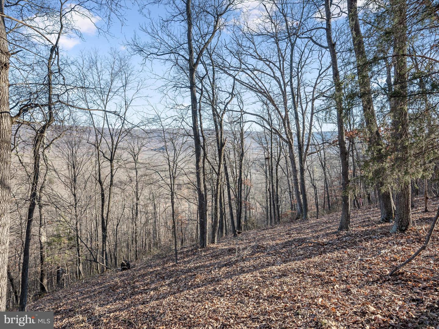 LOT 1 BACK CREEK RD, GORE, Virginia 22637, ,Land,For sale,LOT 1 BACK CREEK RD,VAFV2024362 MLS # VAFV2024362