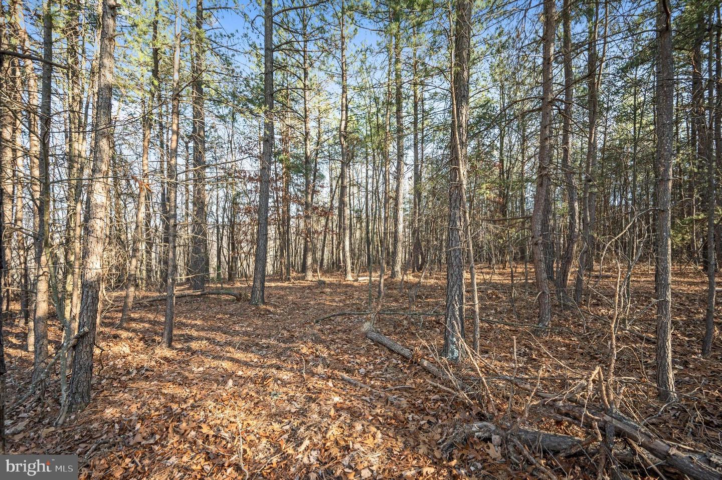 LOT 2 BACK CREEK RD, GORE, Virginia 22637, ,Land,For sale,LOT 2 BACK CREEK RD,VAFV2024364 MLS # VAFV2024364