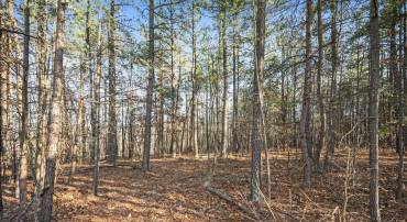 LOT 2 BACK CREEK RD, GORE, Virginia 22637, ,Land,For sale,LOT 2 BACK CREEK RD,VAFV2024364 MLS # VAFV2024364