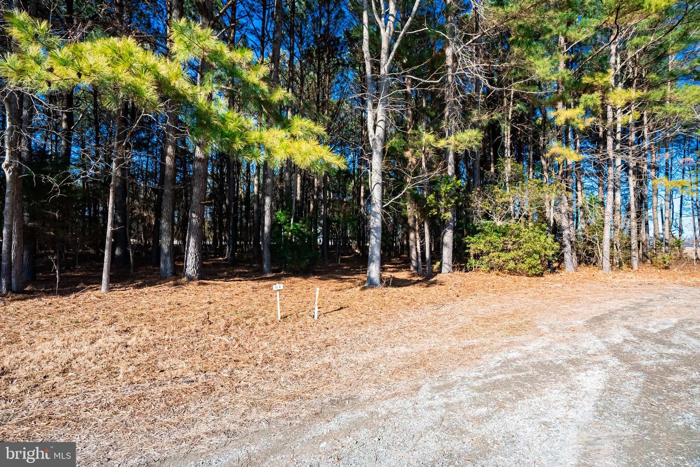 0 GEORGIA AVE, WEST POINT, Virginia 23181, ,Land,For sale,0 GEORGIA AVE,VAKW2000220 MLS # VAKW2000220