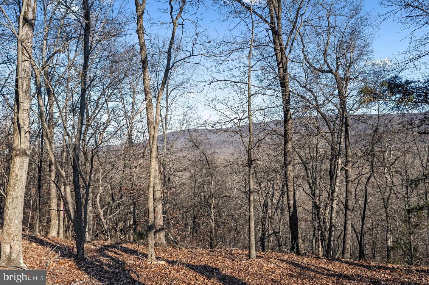 LOT 4 BACK CREEK RD, GORE, Virginia 22637, ,Land,For sale,LOT 4 BACK CREEK RD,VAFV2024440 MLS # VAFV2024440