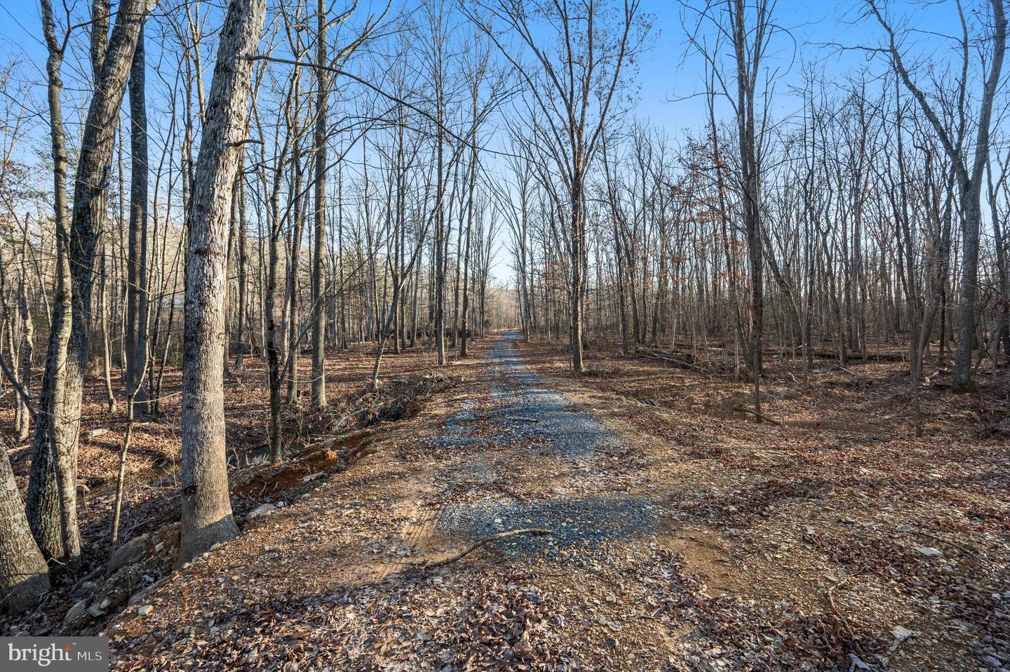 LOT 4 BACK CREEK RD, GORE, Virginia 22637, ,Land,For sale,LOT 4 BACK CREEK RD,VAFV2024440 MLS # VAFV2024440