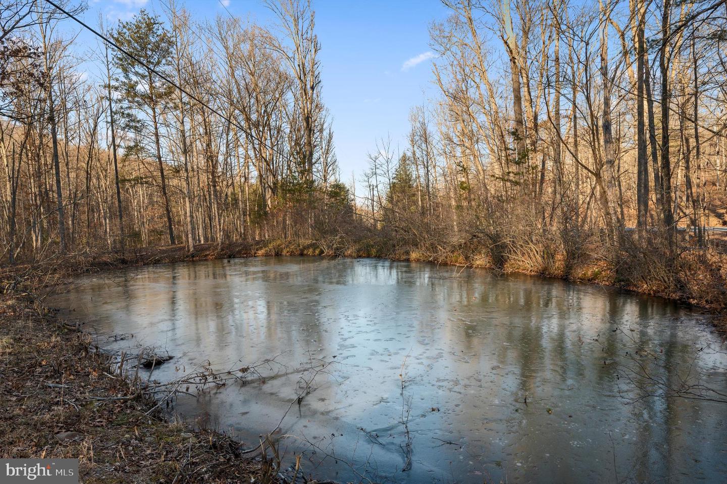 LOT 4 BACK CREEK RD, GORE, Virginia 22637, ,Land,For sale,LOT 4 BACK CREEK RD,VAFV2024440 MLS # VAFV2024440