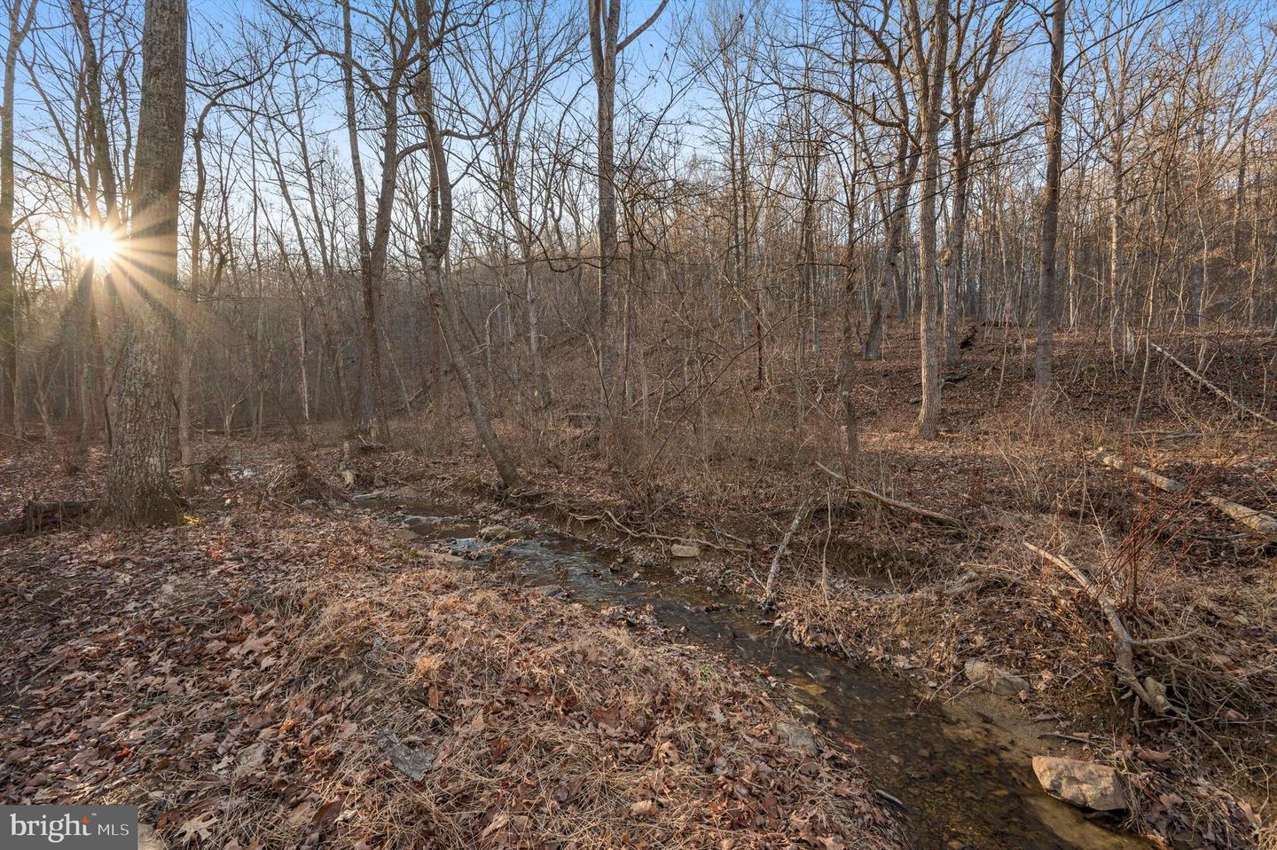 LOT 4 BACK CREEK RD, GORE, Virginia 22637, ,Land,For sale,LOT 4 BACK CREEK RD,VAFV2024440 MLS # VAFV2024440