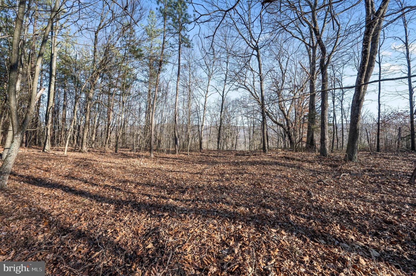 LOT 4 BACK CREEK RD, GORE, Virginia 22637, ,Land,For sale,LOT 4 BACK CREEK RD,VAFV2024440 MLS # VAFV2024440