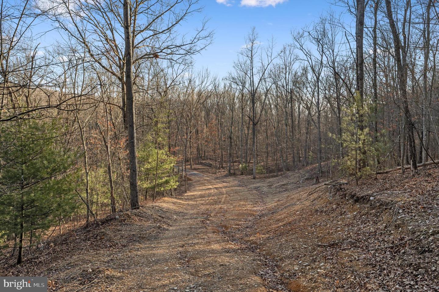 LOT 5 BACK CREEK RD, GORE, Virginia 22637, ,Land,For sale,LOT 5 BACK CREEK RD,VAFV2024442 MLS # VAFV2024442