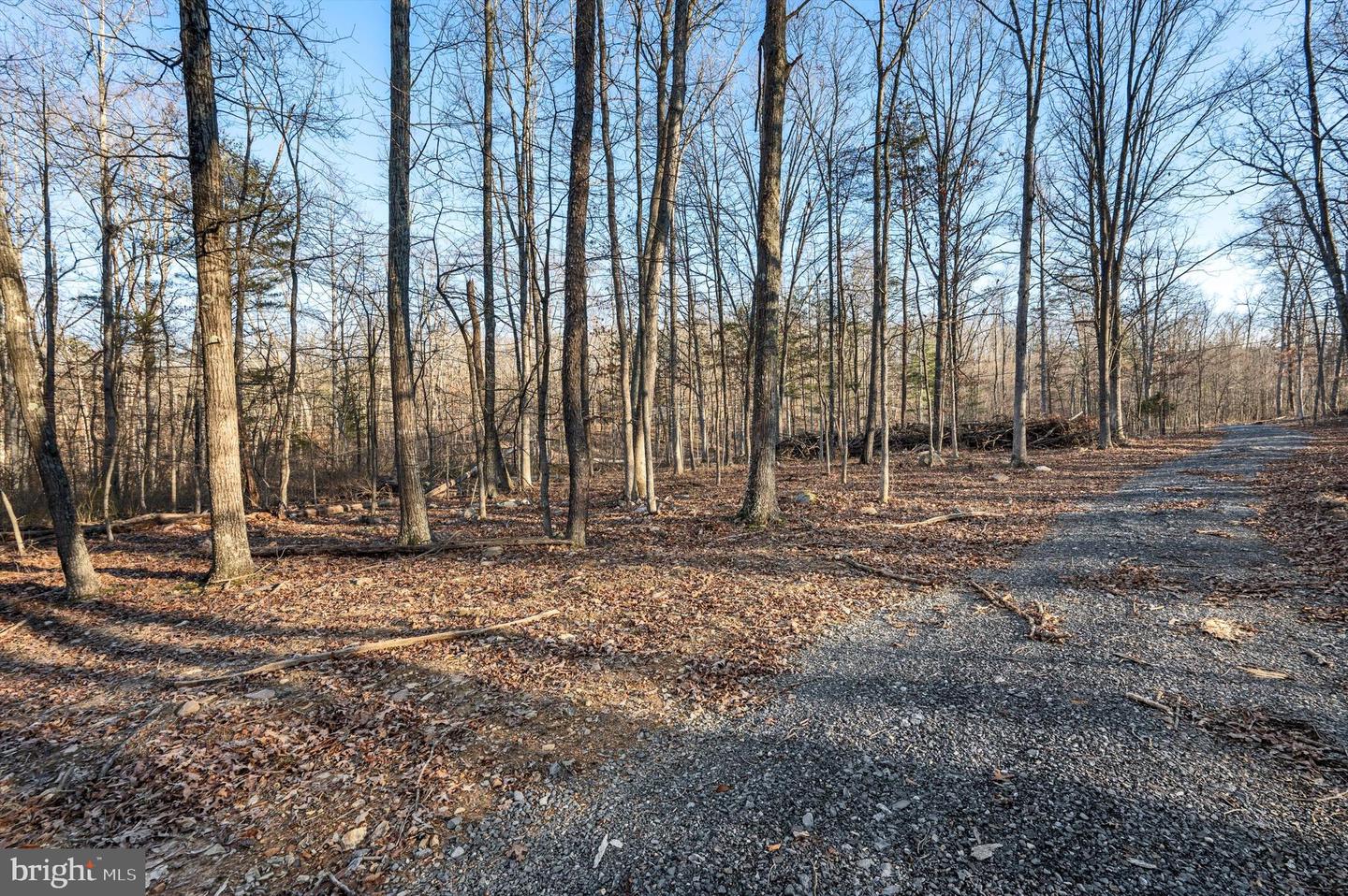 LOT 5 BACK CREEK RD, GORE, Virginia 22637, ,Land,For sale,LOT 5 BACK CREEK RD,VAFV2024442 MLS # VAFV2024442