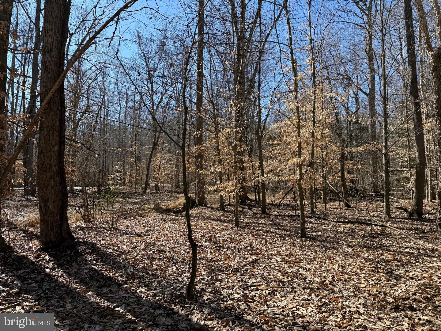 0 HOLLYS CORNER RD, FREDERICKSBURG, Virginia 22406, ,Land,For sale,0 HOLLYS CORNER RD,VAST2036228 MLS # VAST2036228