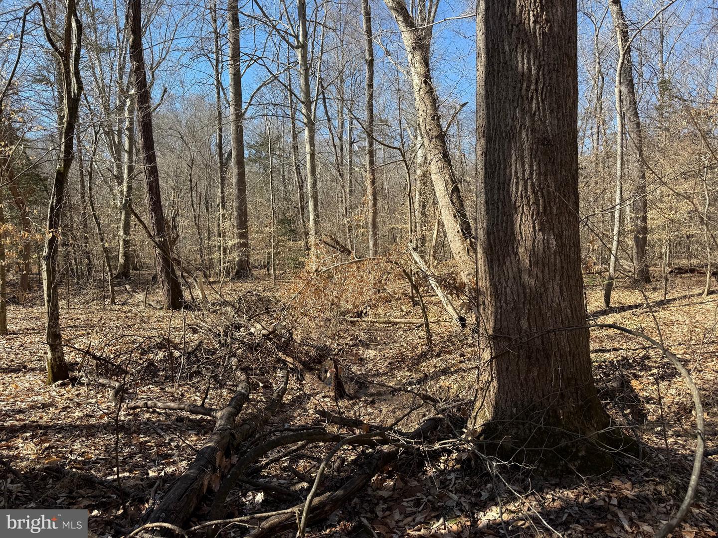 0 HOLLYS CORNER RD, FREDERICKSBURG, Virginia 22406, ,Land,For sale,0 HOLLYS CORNER RD,VAST2036228 MLS # VAST2036228