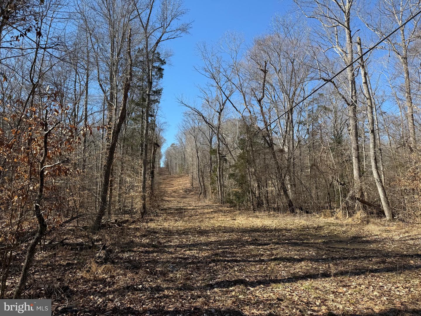 0 HOLLYS CORNER RD, FREDERICKSBURG, Virginia 22406, ,Land,For sale,0 HOLLYS CORNER RD,VAST2036228 MLS # VAST2036228