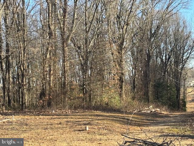 0 WINDSOR DR LOT 20C, KING GEORGE, Virginia 22485, ,Land,For sale,0 WINDSOR DR LOT 20C,VAKG2005996 MLS # VAKG2005996