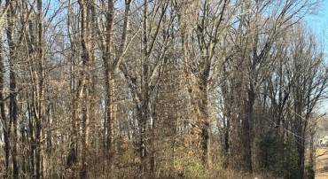 0 WINDSOR DR LOT 20C, KING GEORGE, Virginia 22485, ,Land,For sale,0 WINDSOR DR LOT 20C,VAKG2005996 MLS # VAKG2005996