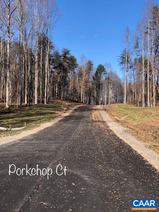 LOT 8 BACON BIT LN, LOUISA, Virginia 23093, 4 Bedrooms Bedrooms, ,2 BathroomsBathrooms,Residential,For sale,LOT 8 BACON BIT LN,661205 MLS # 661205