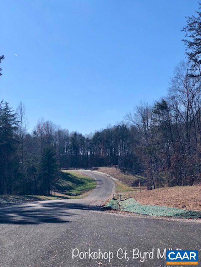 LOT 8 BACON BIT LN, LOUISA, Virginia 23093, 4 Bedrooms Bedrooms, ,2 BathroomsBathrooms,Residential,For sale,LOT 8 BACON BIT LN,661205 MLS # 661205