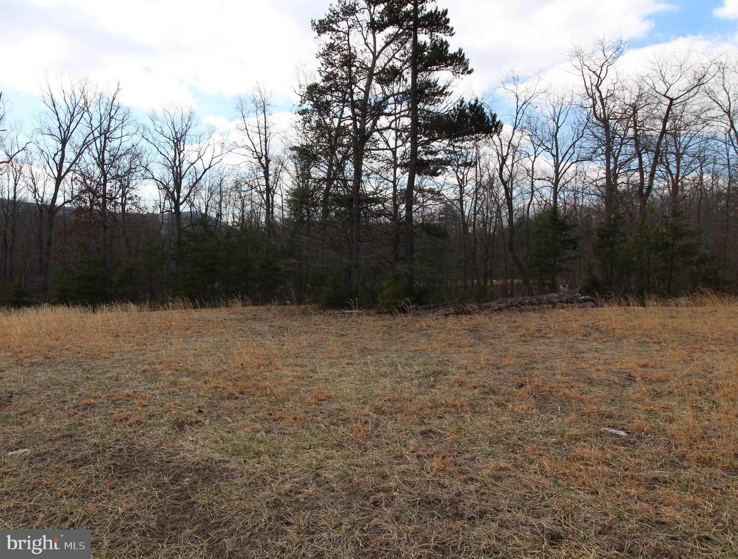 0 ZION PASSAGE, FORT VALLEY, Virginia 22652, ,Land,For sale,0 ZION PASSAGE,VASH2008622 MLS # VASH2008622