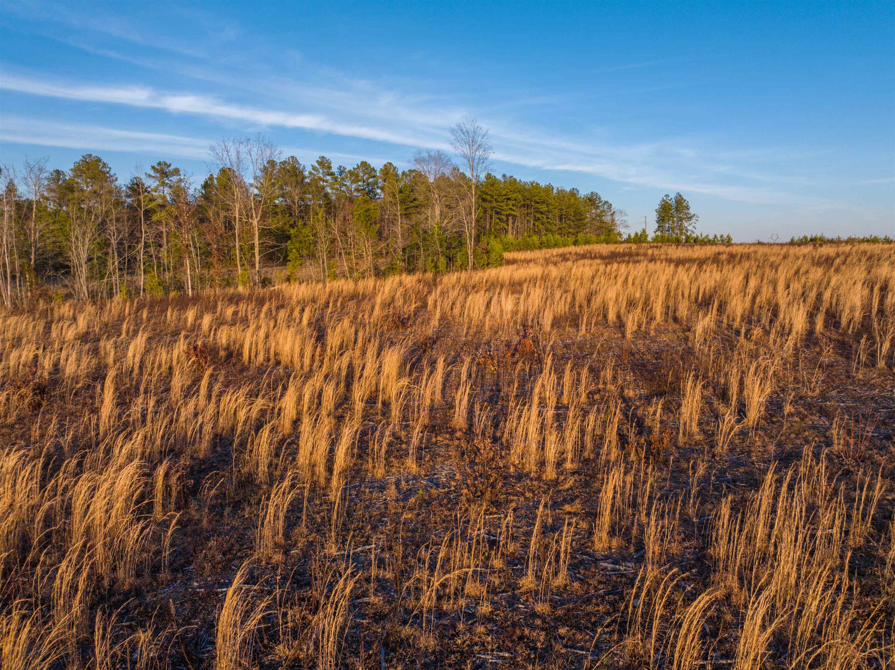 TBD SECRETARYS RD, SCOTTSVILLE, Virginia 24590, ,Land,TBD SECRETARYS RD,660730 MLS # 660730