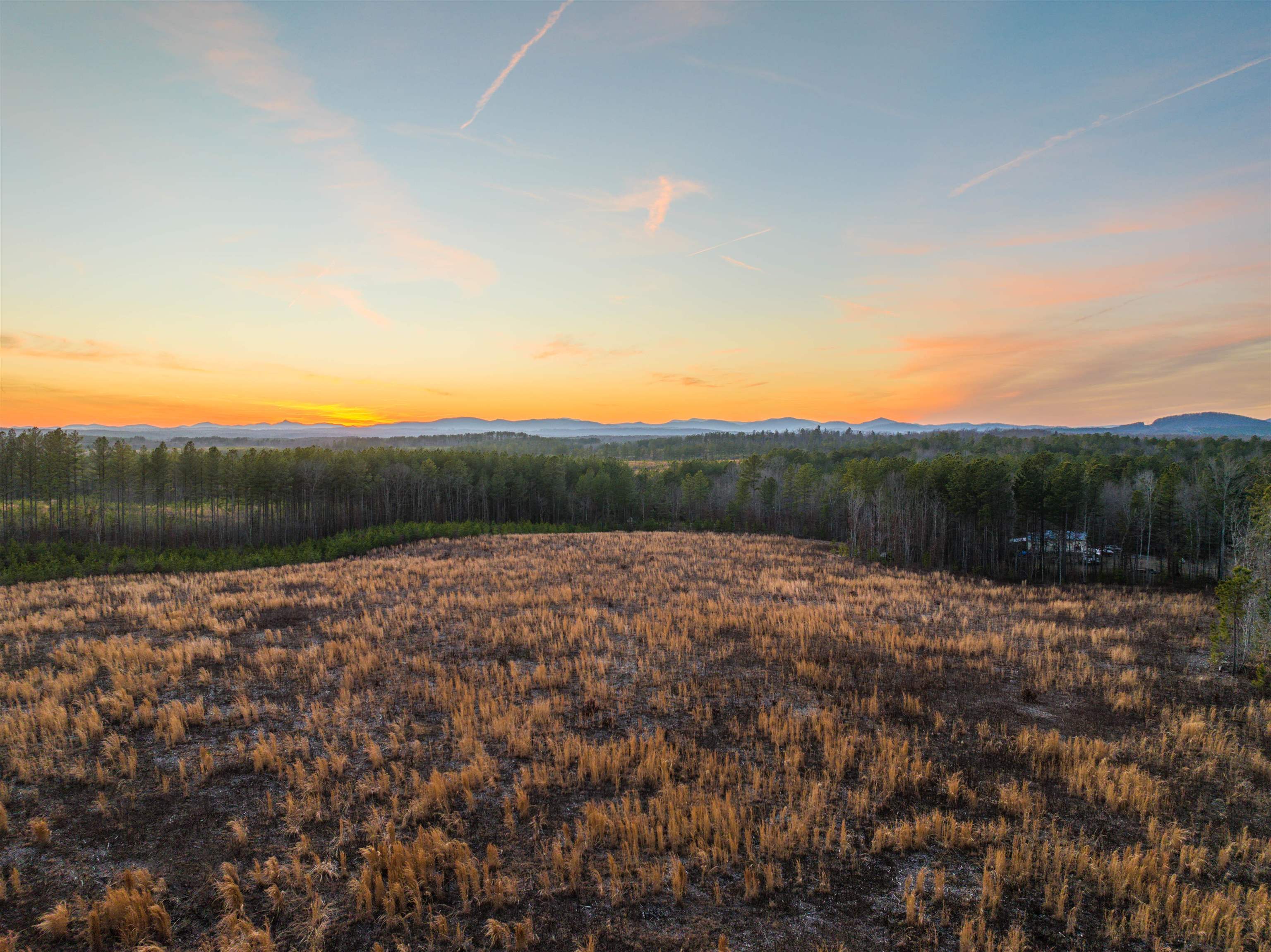 TBD SECRETARYS RD, SCOTTSVILLE, Virginia 24590, ,Land,TBD SECRETARYS RD,660730 MLS # 660730