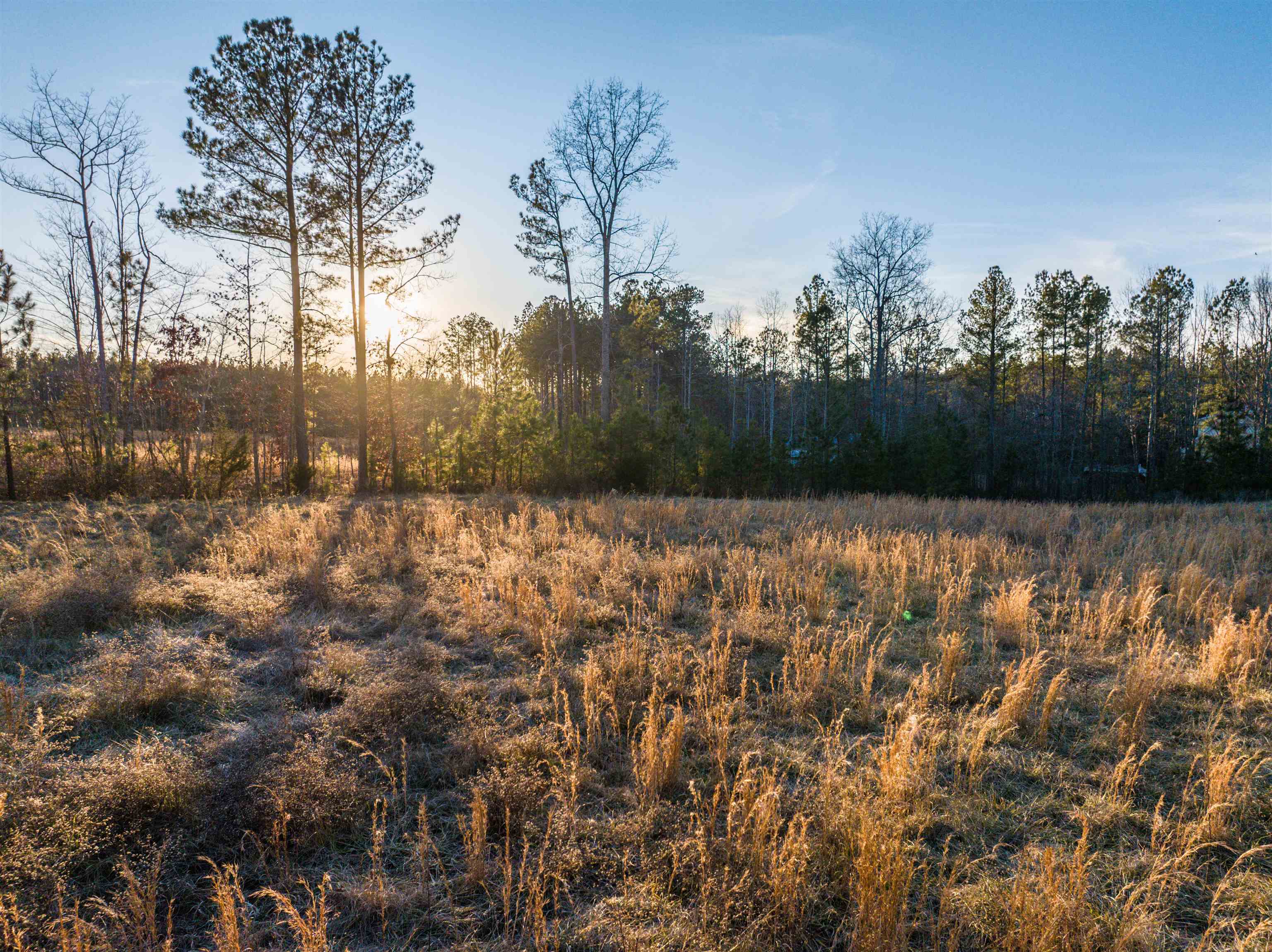 TBD SECRETARYS RD, SCOTTSVILLE, Virginia 24590, ,Land,TBD SECRETARYS RD,660730 MLS # 660730