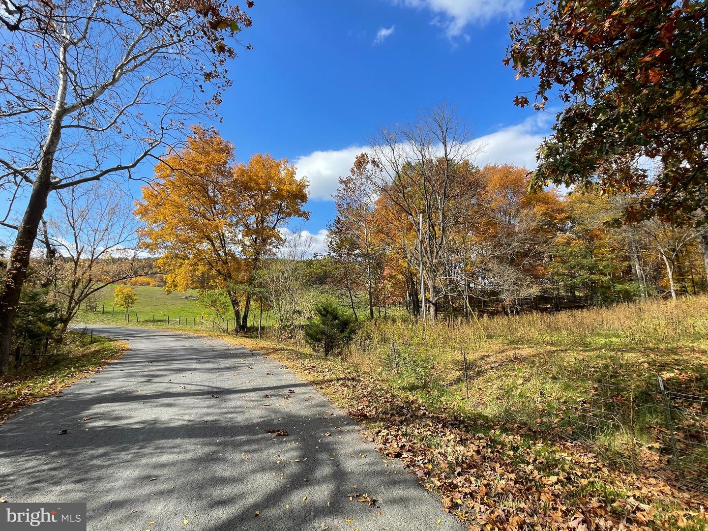 LOT 63 BUCK MOUNTAIN RD, BENTONVILLE, Virginia 22610, ,Land,For sale,LOT 63 BUCK MOUNTAIN RD,VAWR2009204 MLS # VAWR2009204