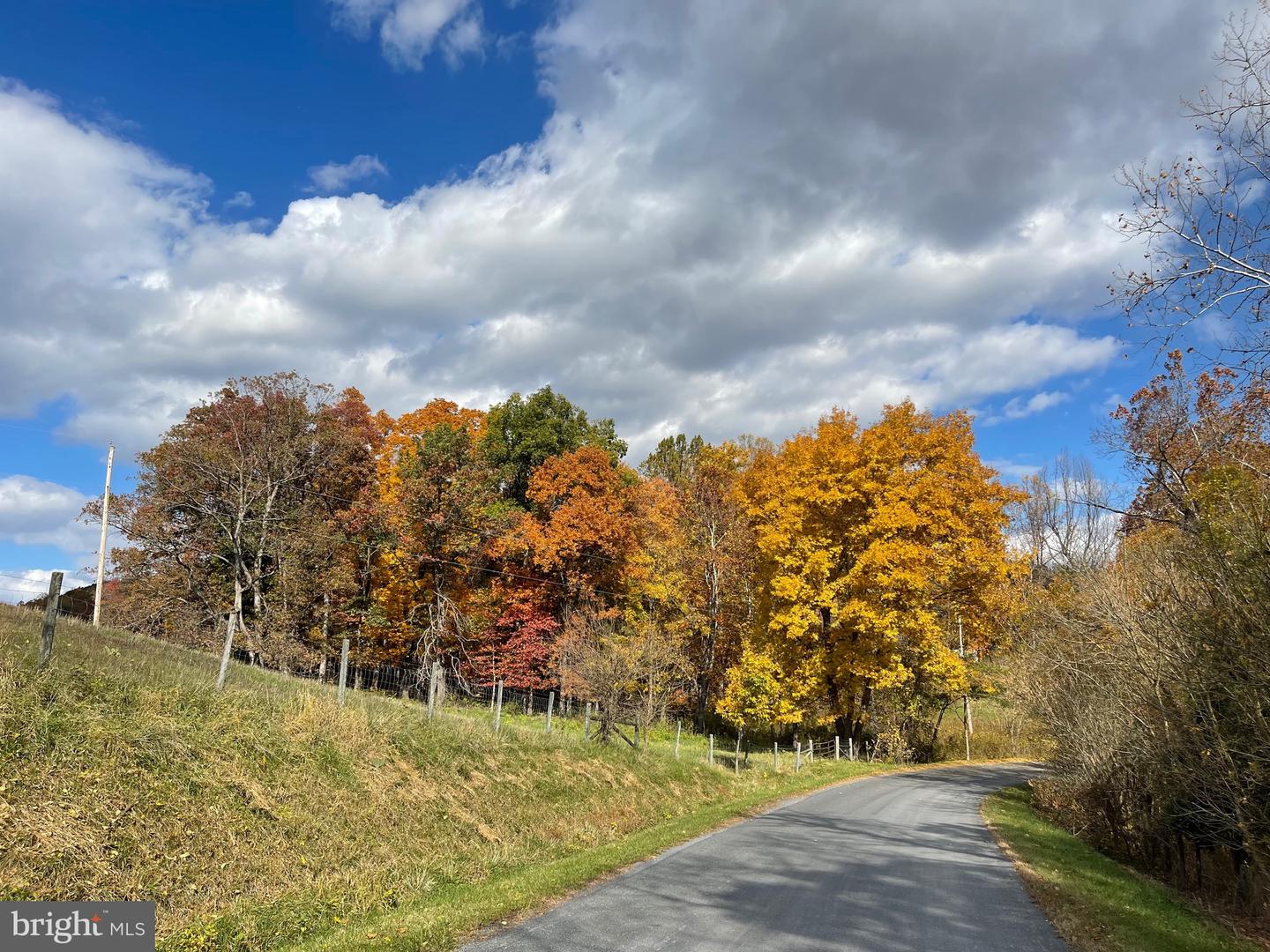 LOT 63 BUCK MOUNTAIN RD, BENTONVILLE, Virginia 22610, ,Land,For sale,LOT 63 BUCK MOUNTAIN RD,VAWR2009204 MLS # VAWR2009204