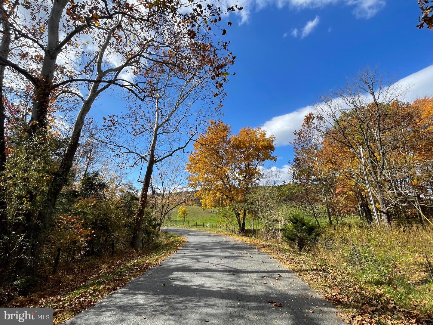 LOT 63 BUCK MOUNTAIN RD, BENTONVILLE, Virginia 22610, ,Land,For sale,LOT 63 BUCK MOUNTAIN RD,VAWR2009204 MLS # VAWR2009204