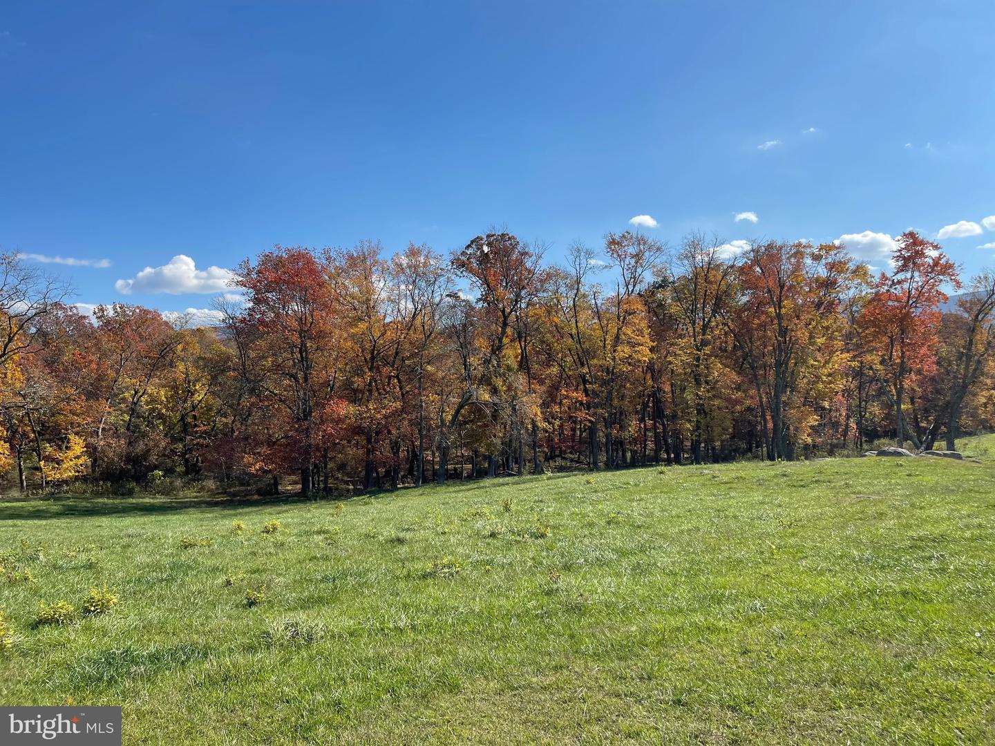 LOT 63 BUCK MOUNTAIN RD, BENTONVILLE, Virginia 22610, ,Land,For sale,LOT 63 BUCK MOUNTAIN RD,VAWR2009204 MLS # VAWR2009204