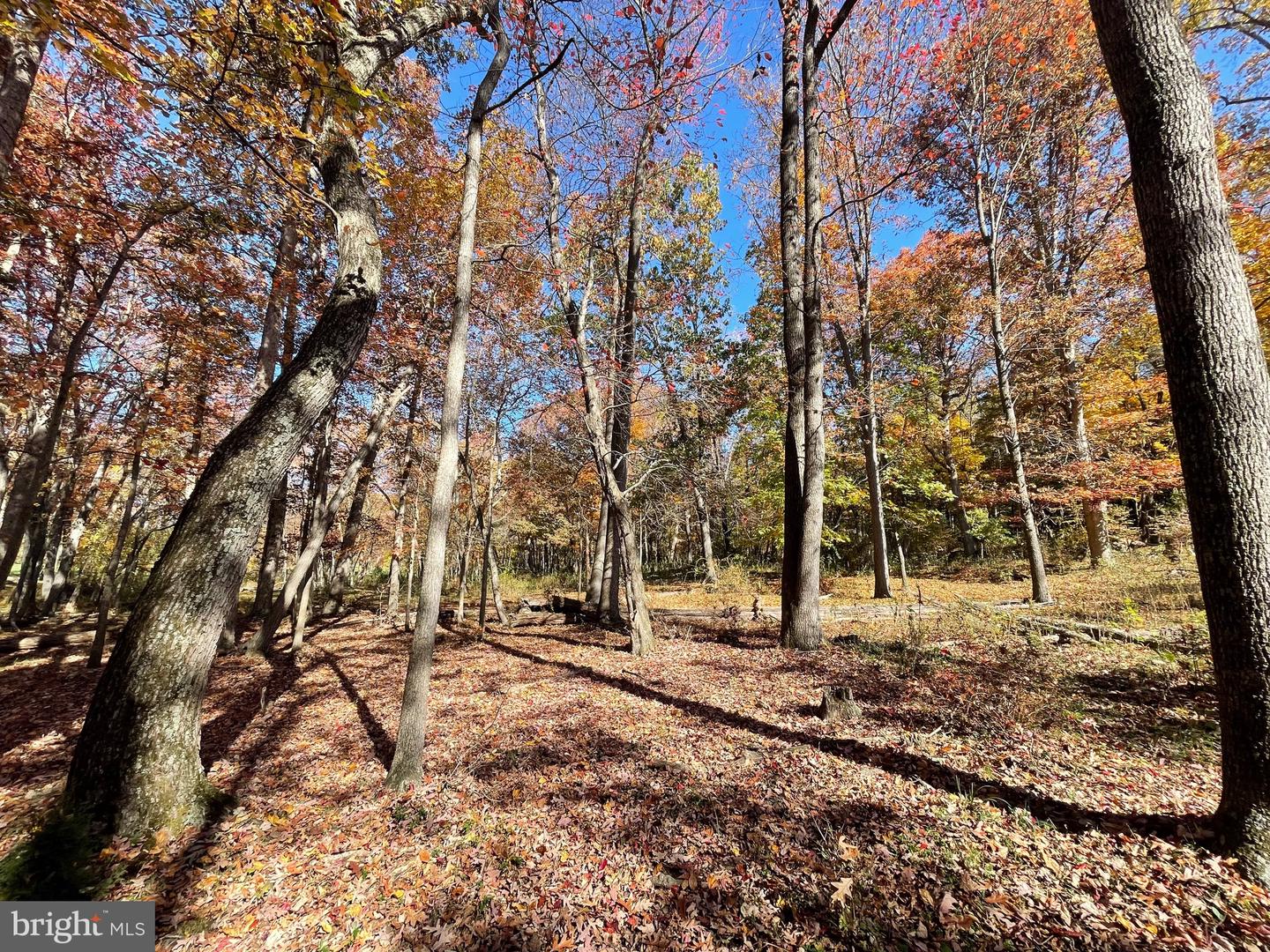 LOT 63 BUCK MOUNTAIN RD, BENTONVILLE, Virginia 22610, ,Land,For sale,LOT 63 BUCK MOUNTAIN RD,VAWR2009204 MLS # VAWR2009204