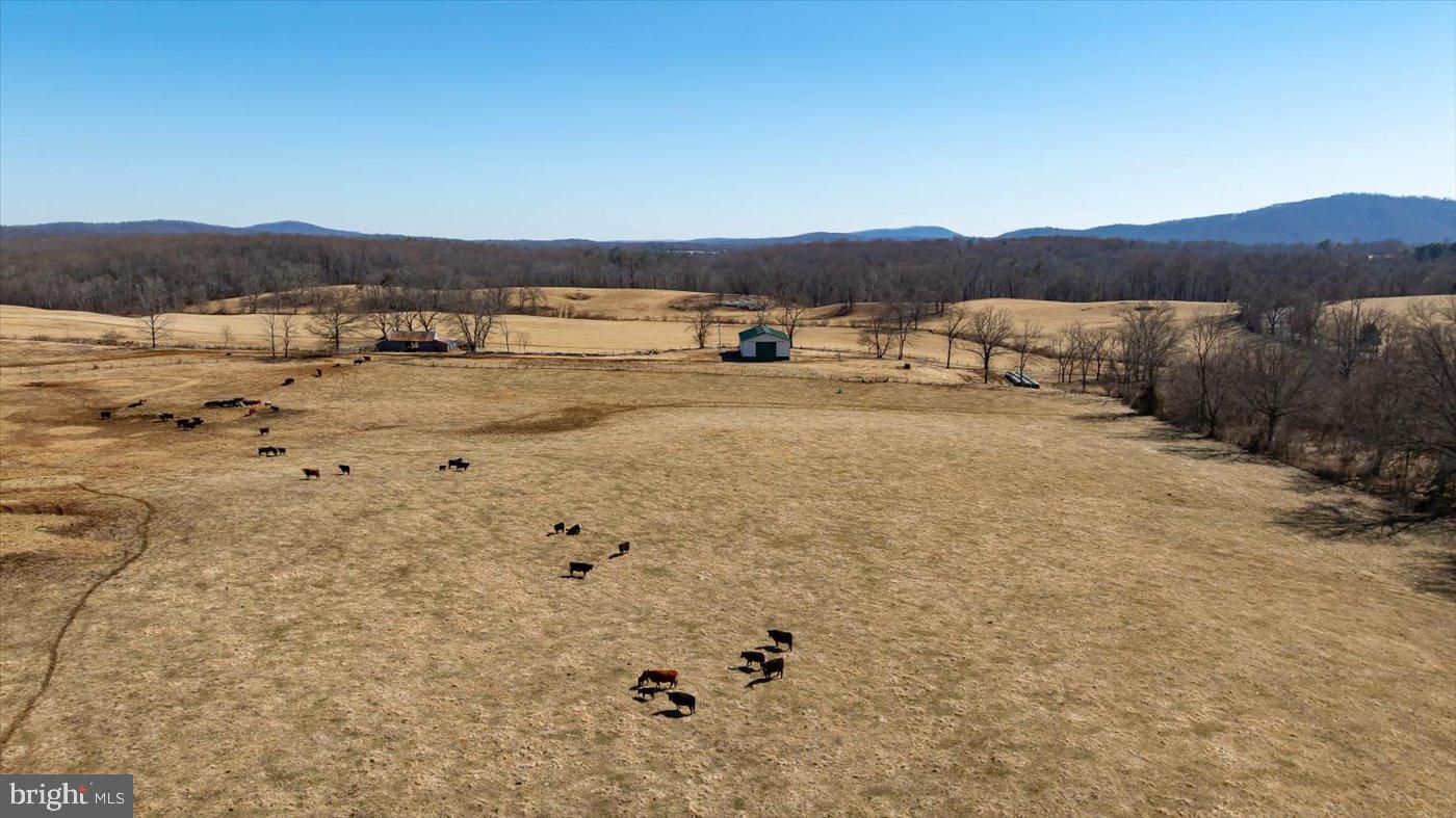 ROCK MILLS RD, WASHINGTON, Virginia 22747, ,Farm,For sale,ROCK MILLS RD,VARP2001962 MLS # VARP2001962