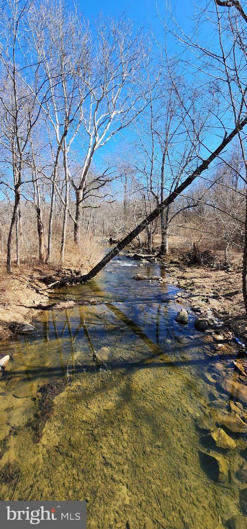 ROCK MILLS RD, WASHINGTON, Virginia 22747, ,Farm,For sale,ROCK MILLS RD,VARP2001962 MLS # VARP2001962