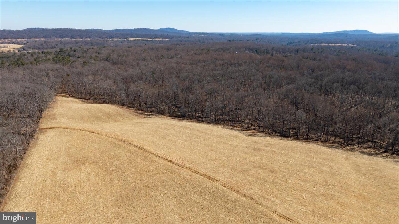 ROCK MILLS RD, WASHINGTON, Virginia 22747, ,Farm,For sale,ROCK MILLS RD,VARP2001962 MLS # VARP2001962