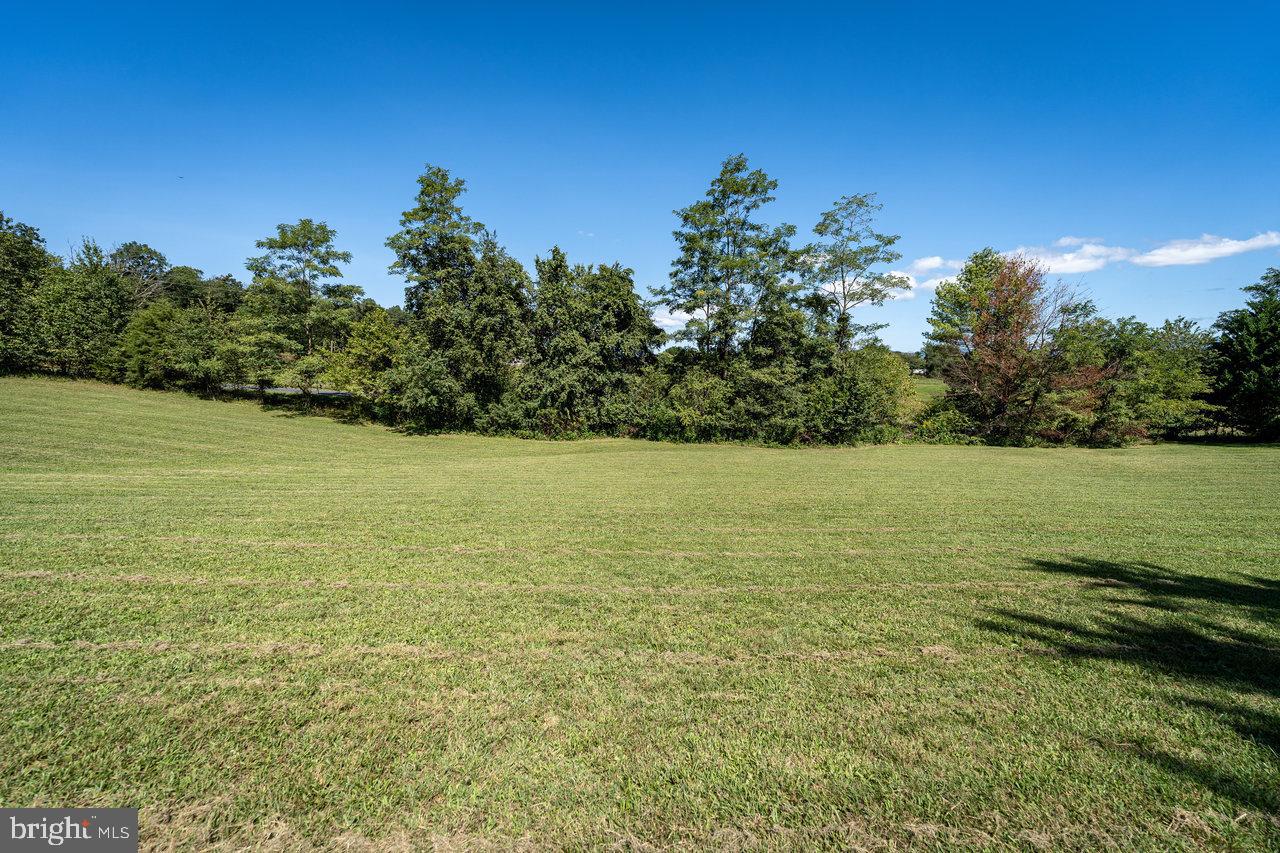 OFF WOODLAND DR, LURAY, Virginia 22835, ,Land,For sale,OFF WOODLAND DR,VAPA2003982 MLS # VAPA2003982