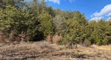 0, FORT VALLEY, Virginia 22652, ,Land,For sale,VASH2010766 MLS # VASH2010766