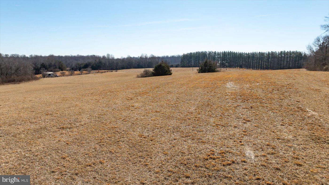 WINDEMEER LANE, AMISSVILLE, Virginia 20106, ,Land,For sale,WINDEMEER LANE,VARP2001958 MLS # VARP2001958