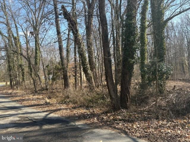 8126 STACEY RD, ALEXANDRIA, Virginia 22308, ,Land,For sale,8126 STACEY RD,VAFX2224464 MLS # VAFX2224464