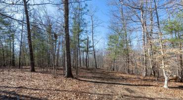 LOT 4 GILBERT STATION RD #4, BARBOURSVILLE, Virginia 22923, ,Land,For sale,LOT 4 GILBERT STATION RD #4,661335 MLS # 661335