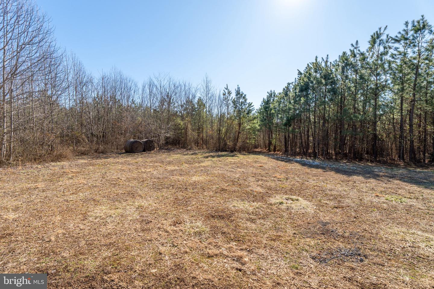 PANNELL LANE, CULPEPER, Virginia 22701, ,Land,For sale,PANNELL LANE,VAOR2008946 MLS # VAOR2008946