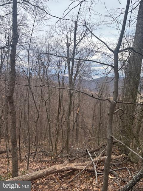REVENOOER, MADISON, Virginia 22727, ,Land,For sale,REVENOOER,VAMA2002086 MLS # VAMA2002086