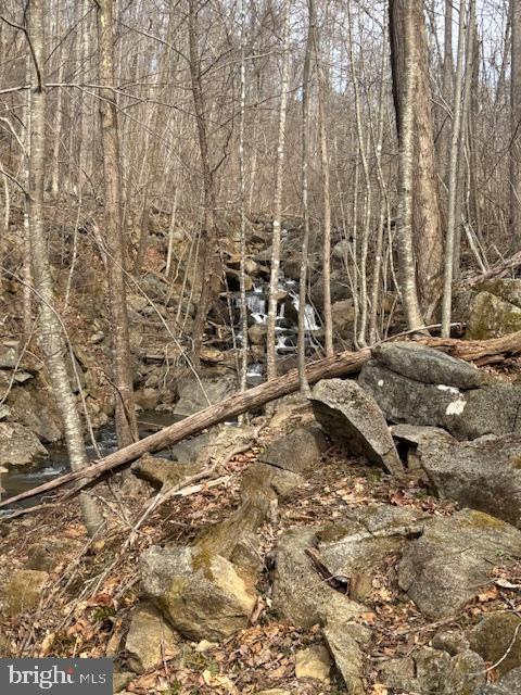 REVENOOER, MADISON, Virginia 22727, ,Land,For sale,REVENOOER,VAMA2002086 MLS # VAMA2002086