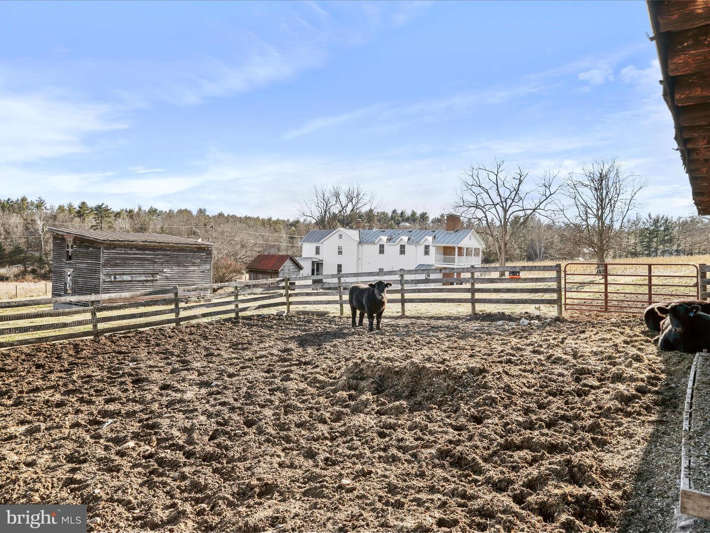 329 MILLER RD, EDINBURG, Virginia 22824, 4 Bedrooms Bedrooms, ,3 BathroomsBathrooms,Farm,For sale,329 MILLER RD,VASH2010686 MLS # VASH2010686