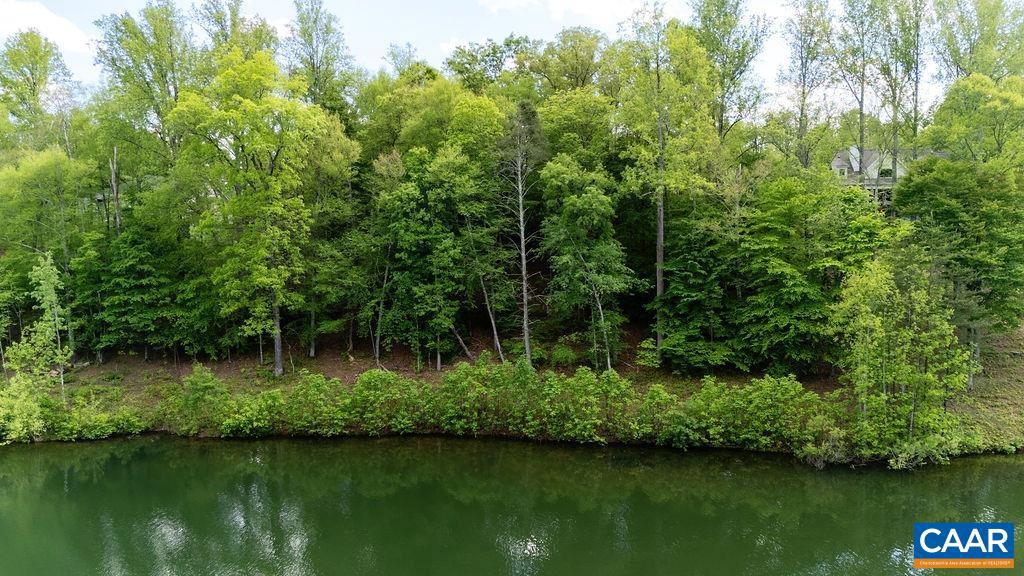 0 HIGH CREST LN #LOT A6, WINTERGREEN, Virginia 22958, ,Land,For sale,0 HIGH CREST LN #LOT A6,661360 MLS # 661360