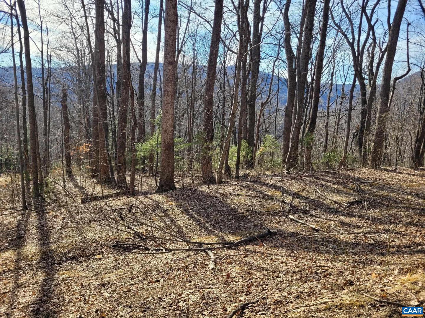 LOT 15 WINDY KNOLL LN, STANARDSVILLE, Virginia 22973, ,Land,For sale,LOT 15 WINDY KNOLL LN,661361 MLS # 661361